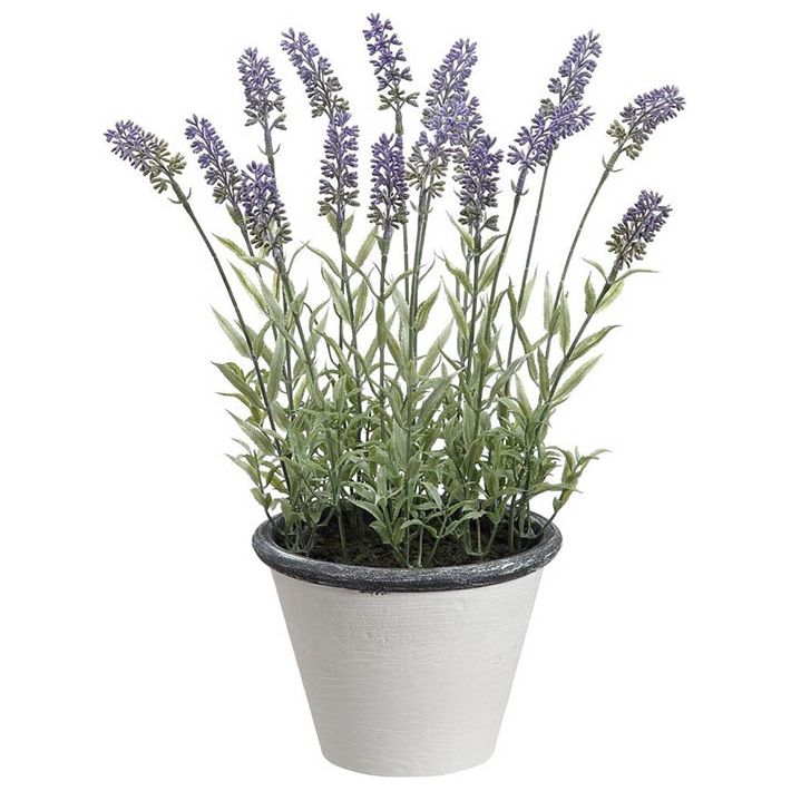 Lavender/Pot 15.5"