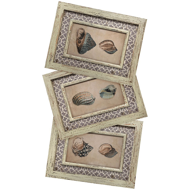 Shell print set of 3 12 x 16